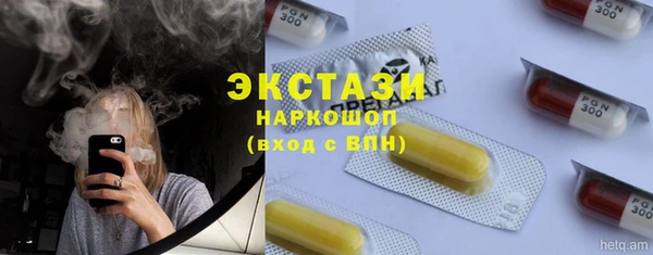 крисы Армянск