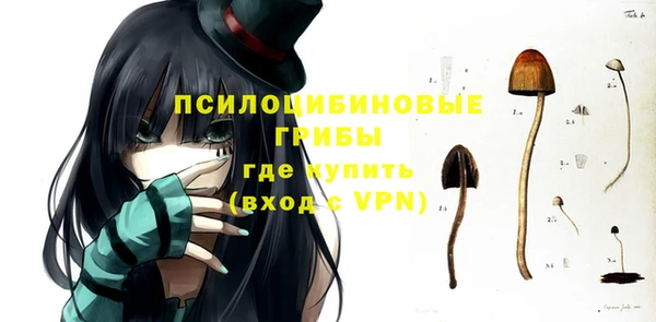 СК Аркадак