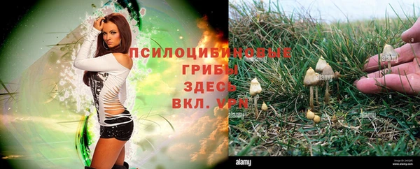 apvp Арсеньев