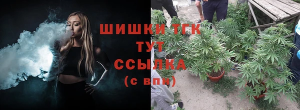 СК Аркадак
