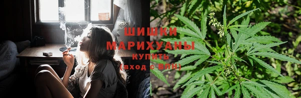apvp Арсеньев
