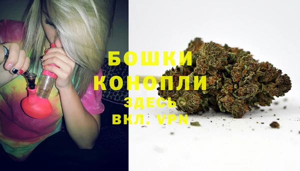 apvp Арсеньев